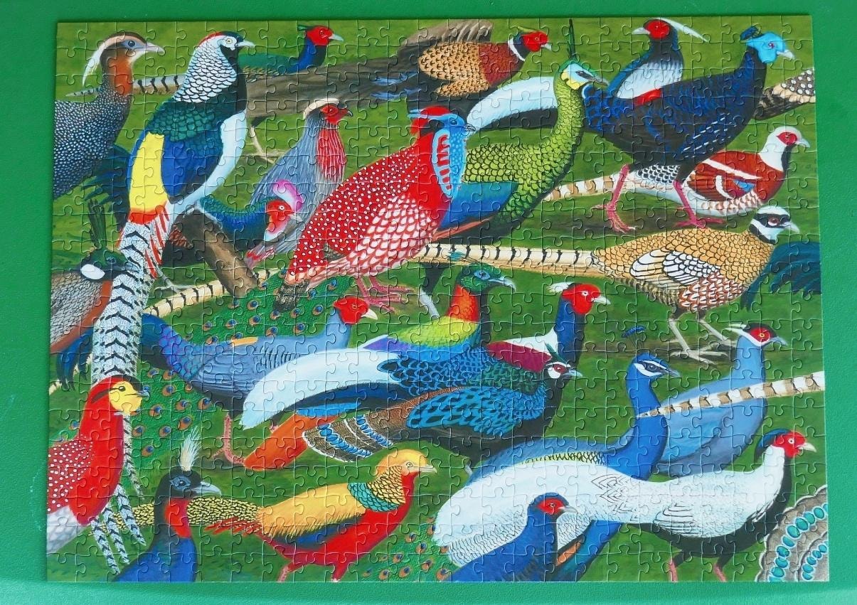 Amazing Pheasants puzzle — completed puzzle